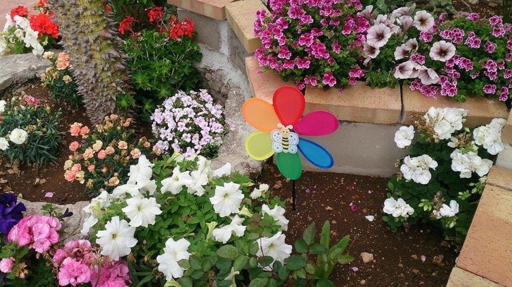 Il Mirto E La Rosa Panzió Arenella  Kültér fotó
