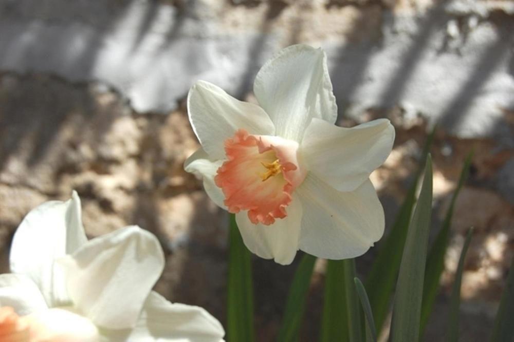 Il Mirto E La Rosa Panzió Arenella  Kültér fotó